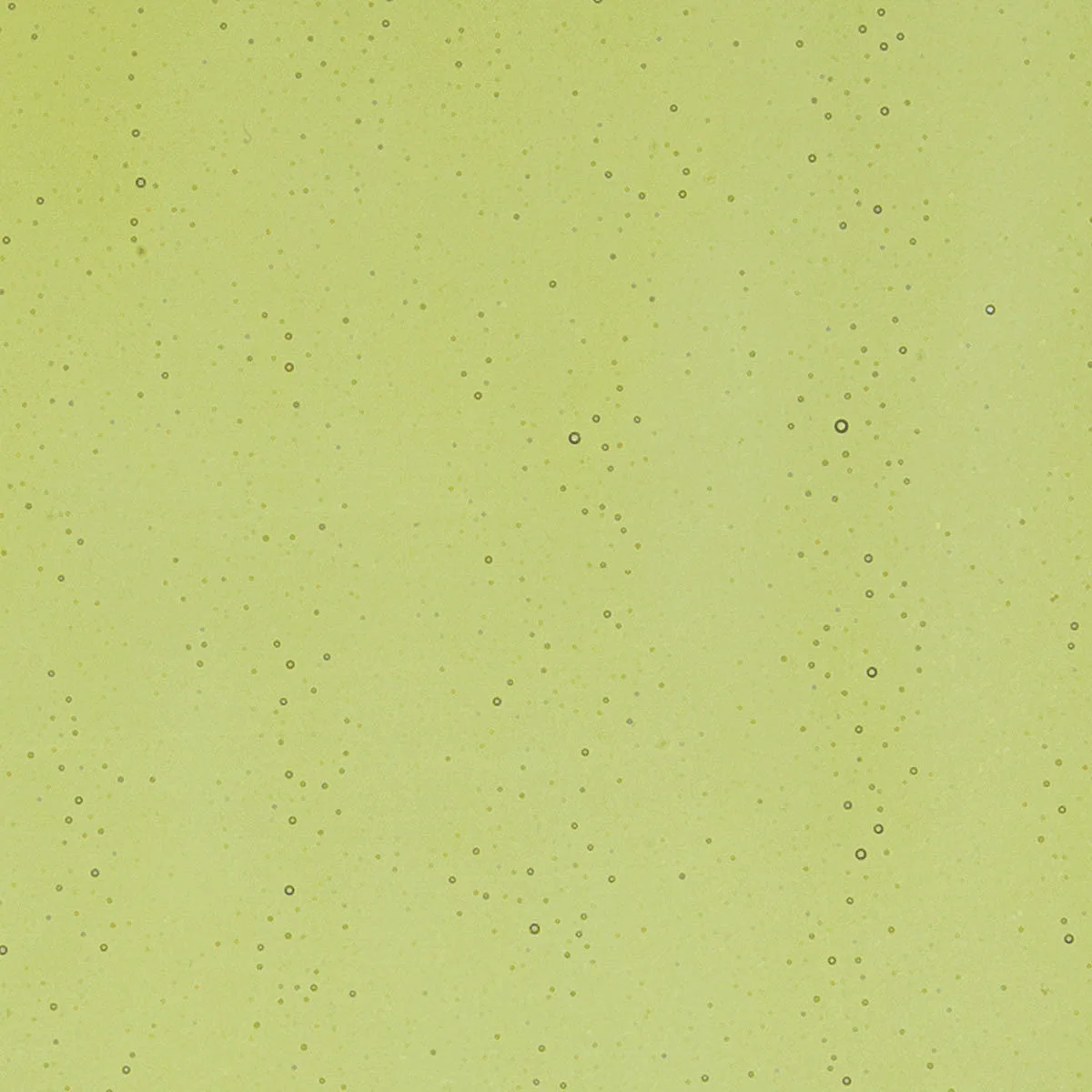 Fern Green, 2 mm - Image 2