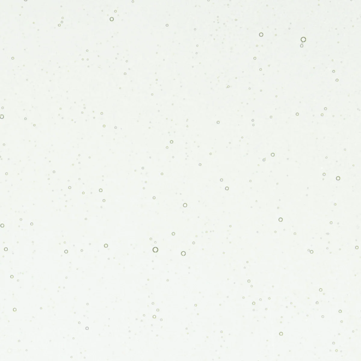 Juniper Blue Tint, 3 mm - Image 2