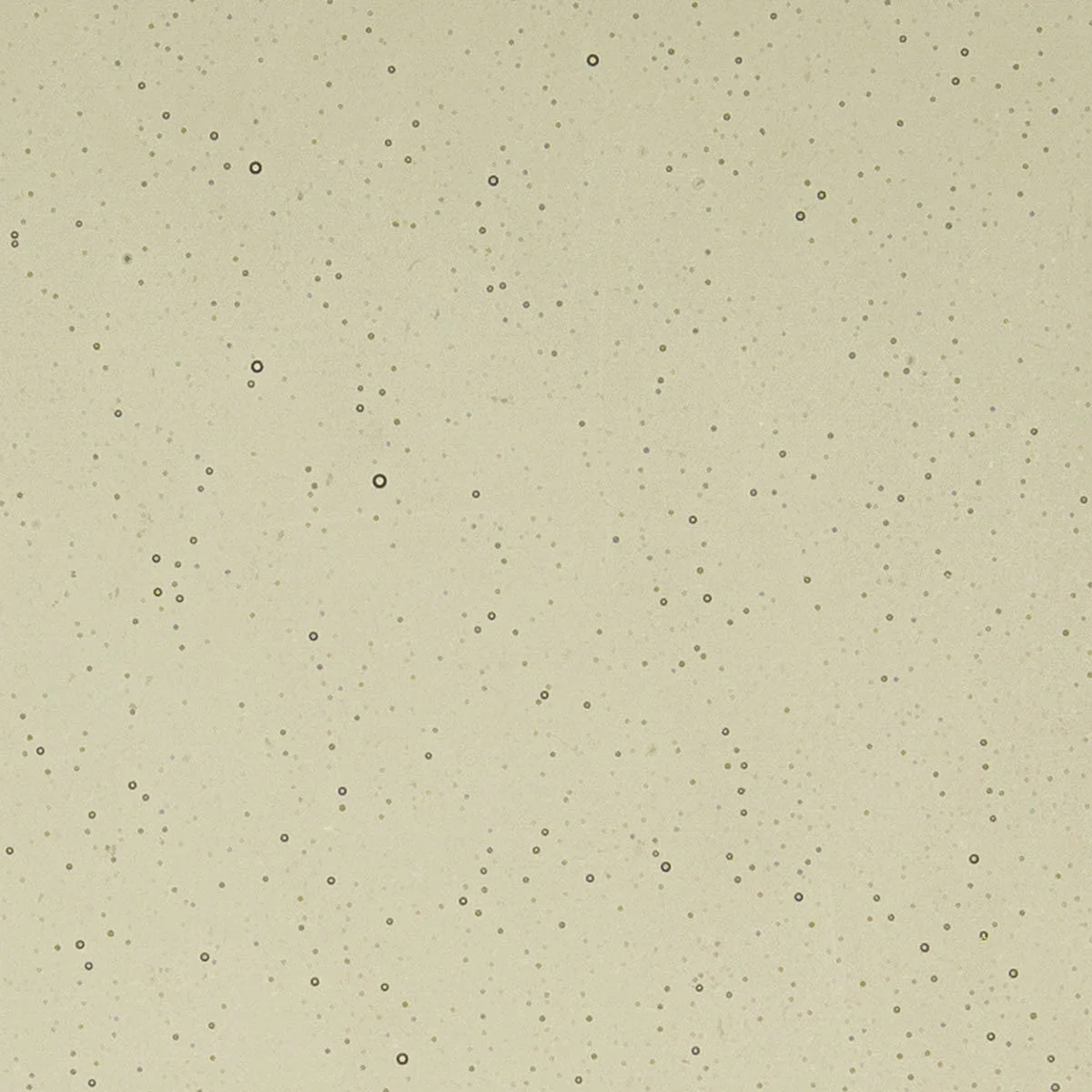 Khaki, 2 mm - Image 2