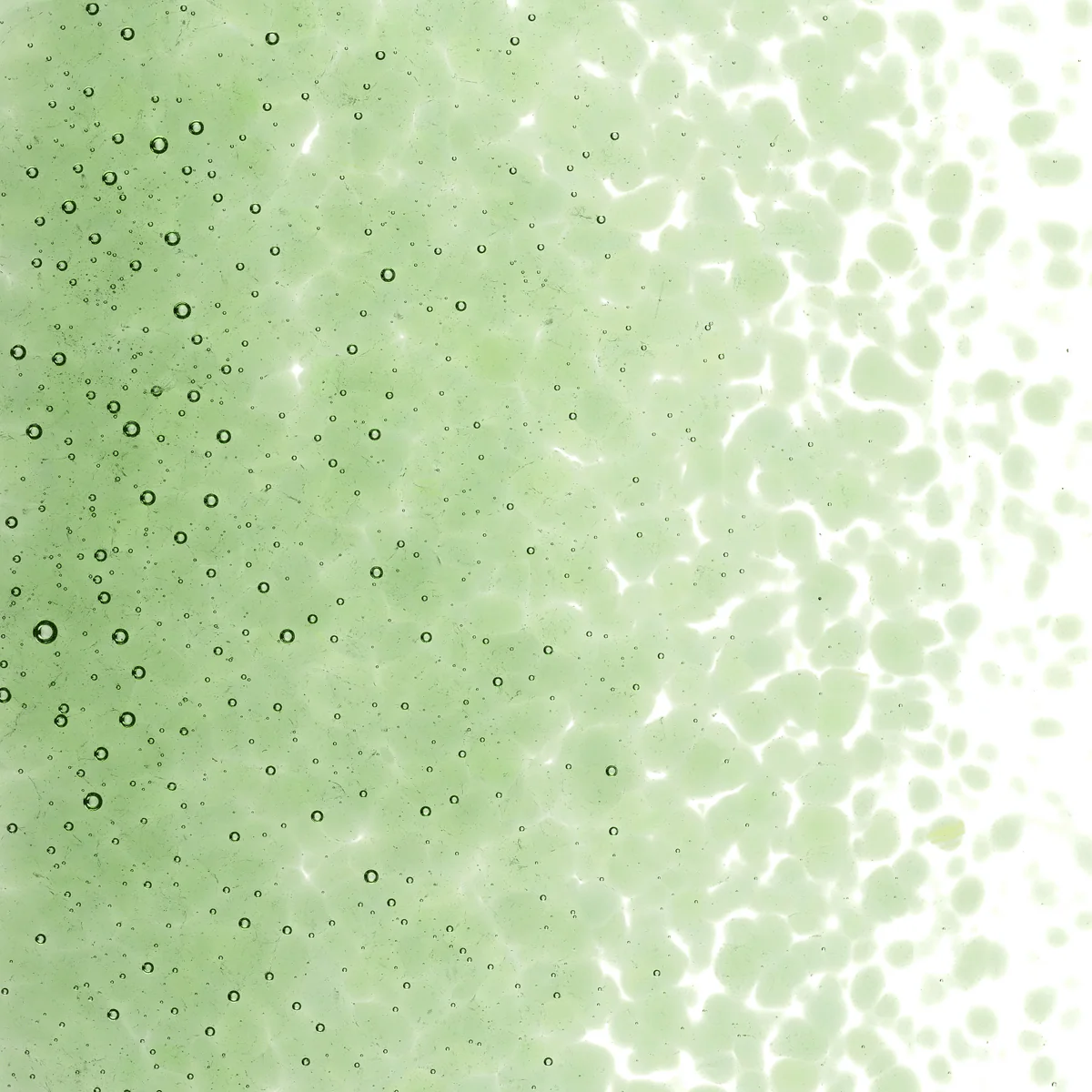 Light Green Transparent, Medium, 1 lb. - Image 2