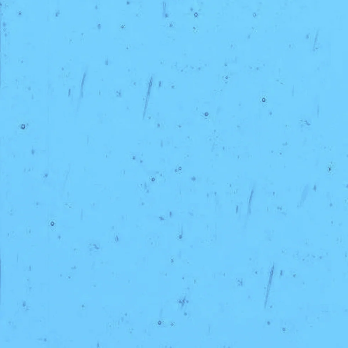 Light Peacock Blue