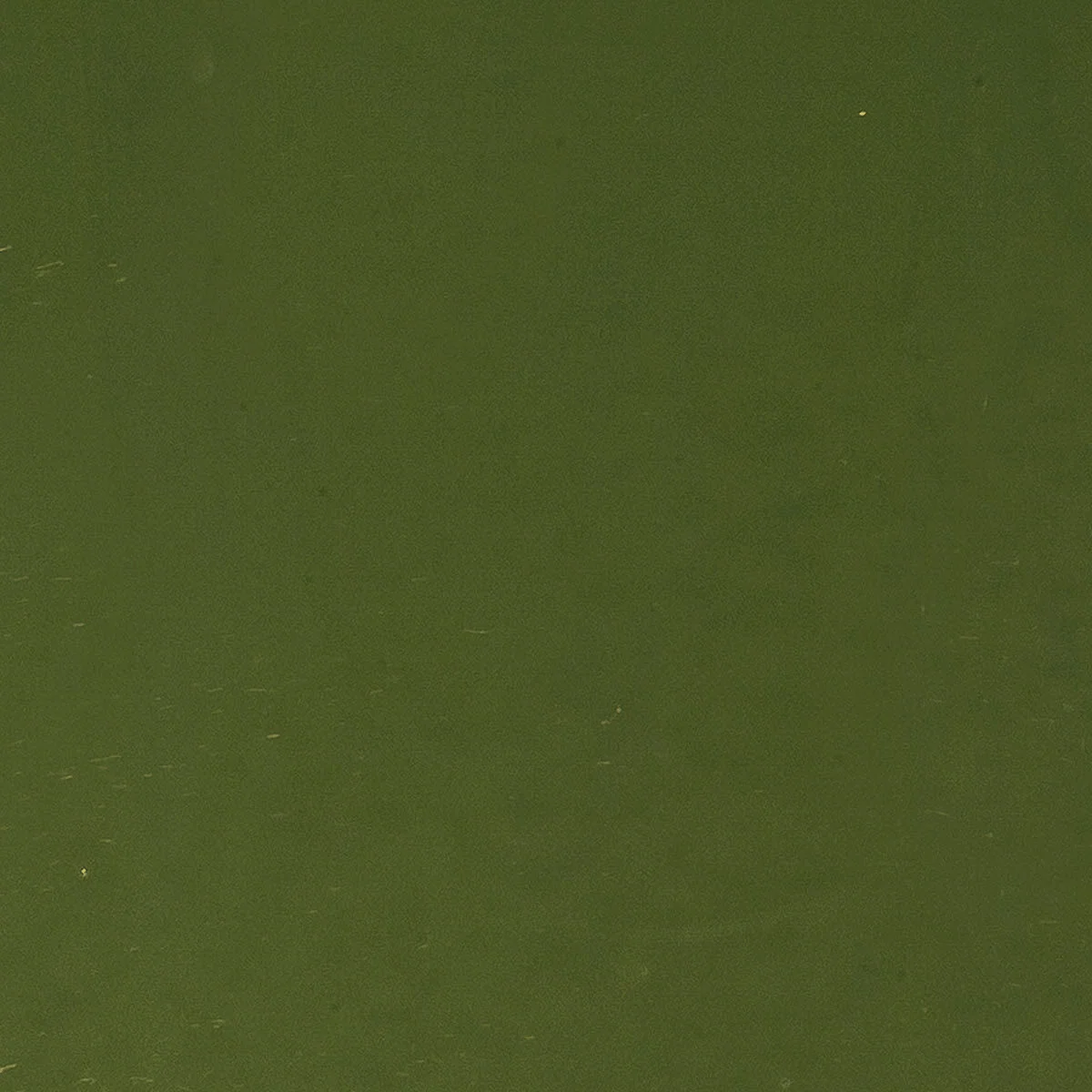 Moss Green, 3 mm - Image 2