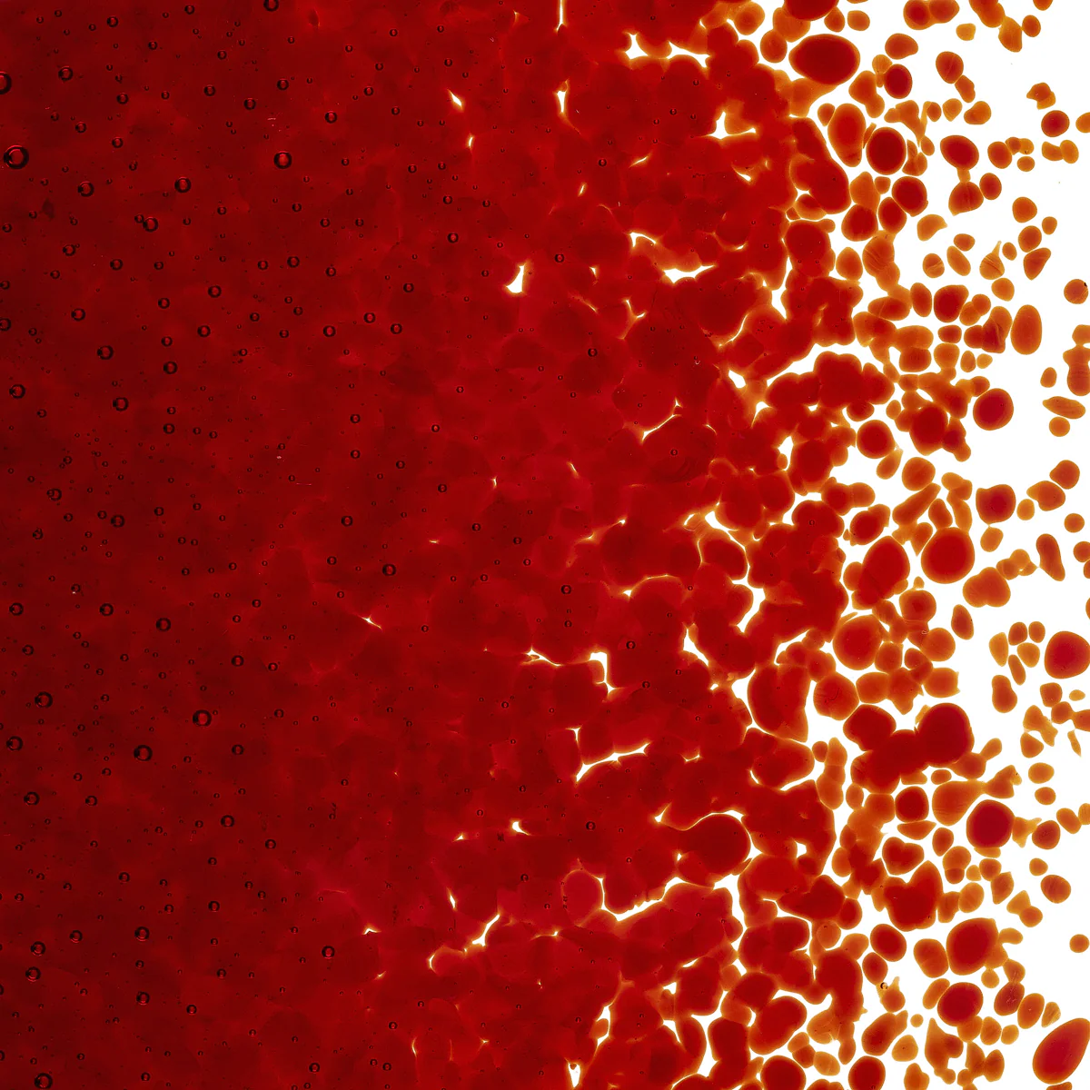 Red Transparent, Medium, 1 lb. - Image 2